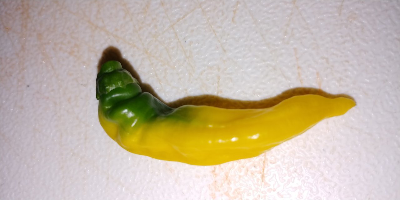 20180923_164857.jpg