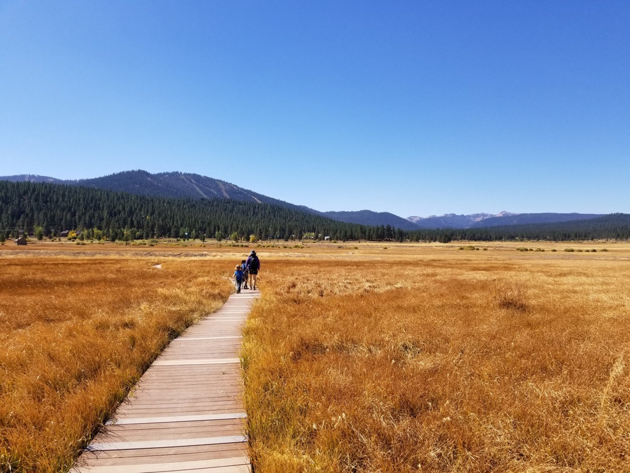 20180923_235533.jpg