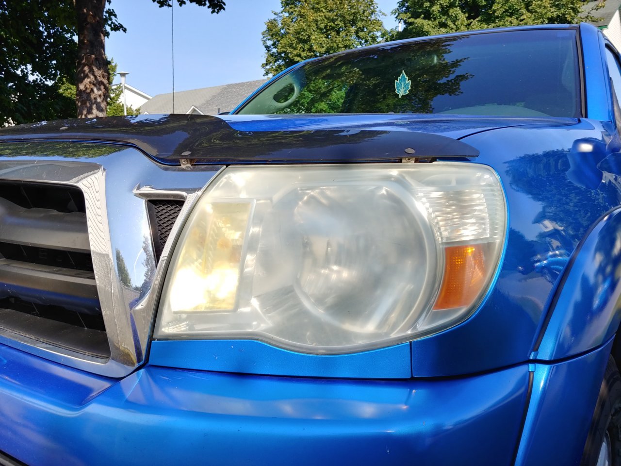 20180924_143135_HDR.jpg