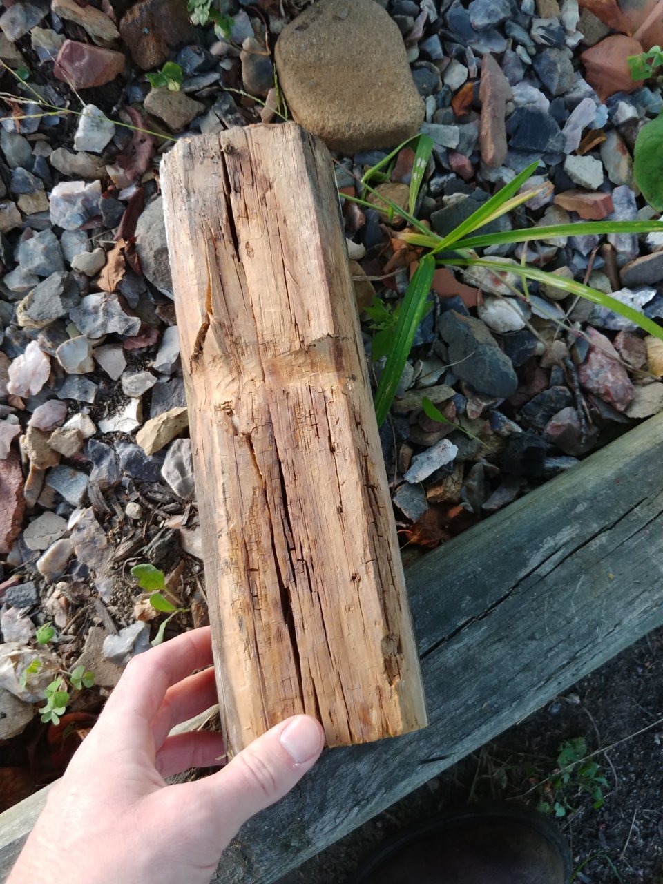 20180924_181917 Custom Splice 1.jpg