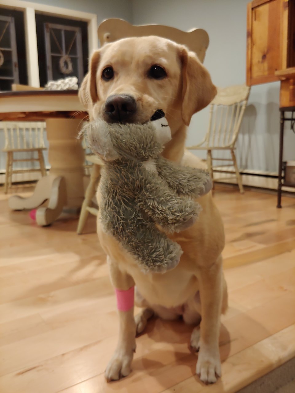 20180924_193039.jpg