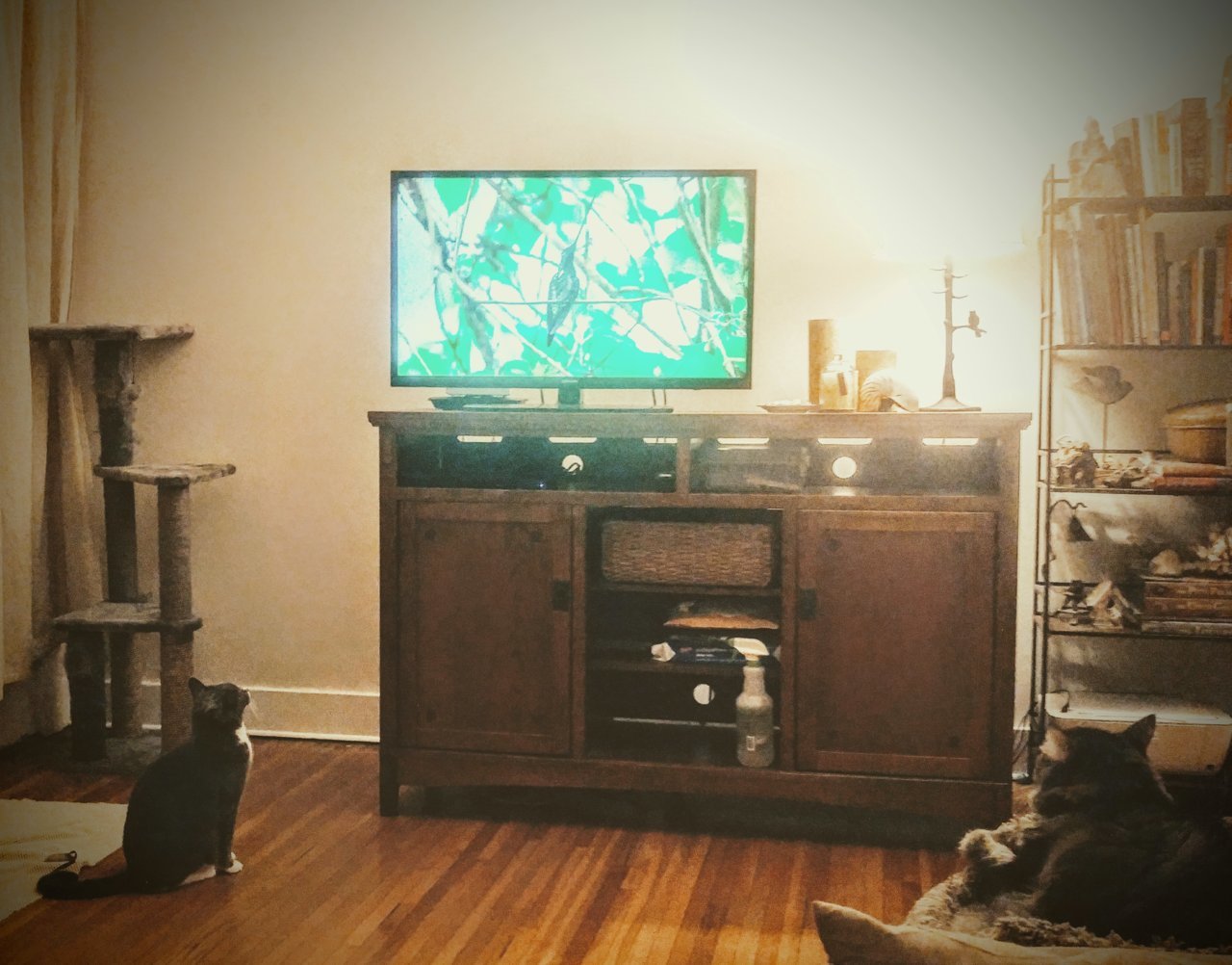 20180924_234336~2.jpg