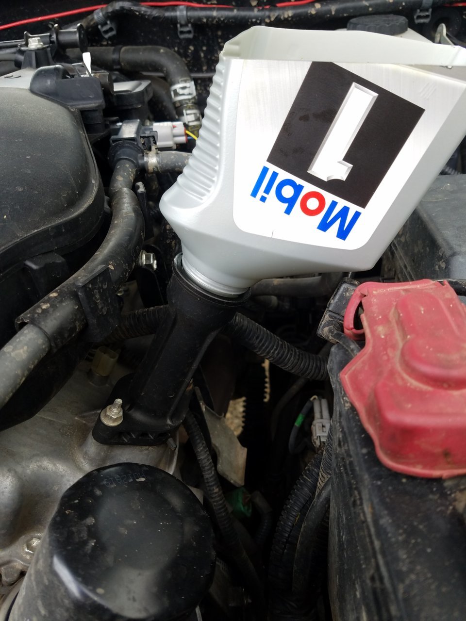 20180925_114024.jpg