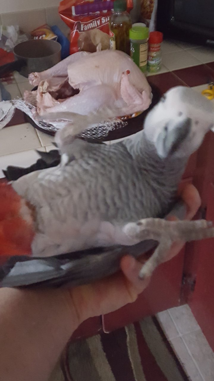20180925_120317.jpg