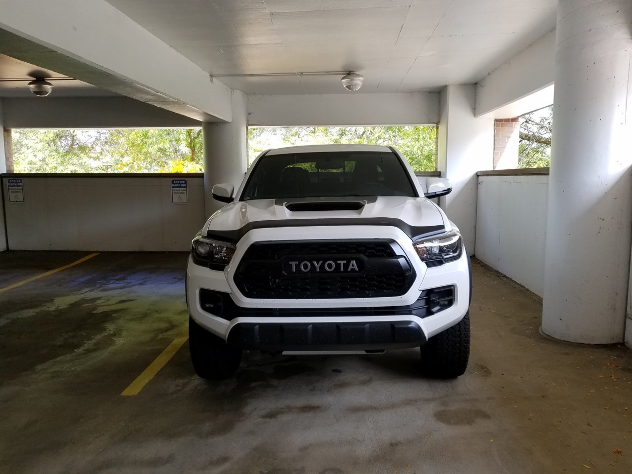 20180925_150708.jpg