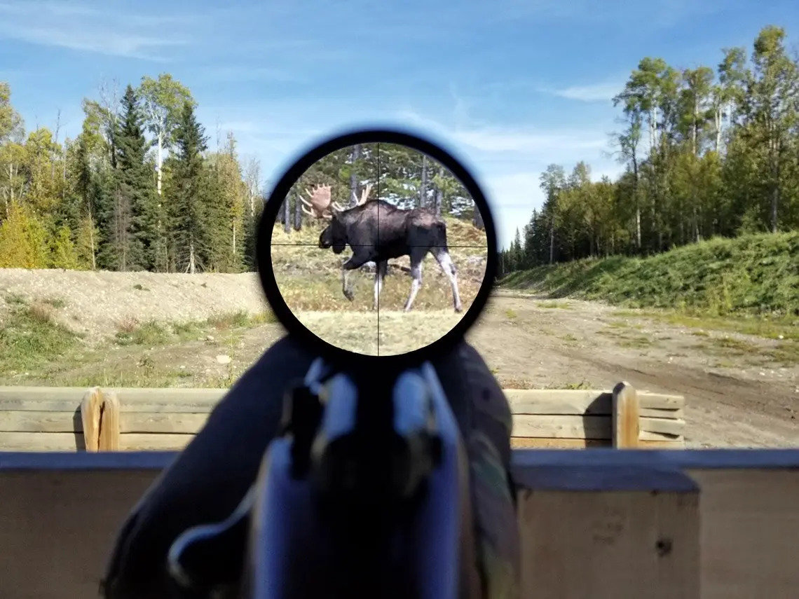 20180925_150926-Moose.jpg