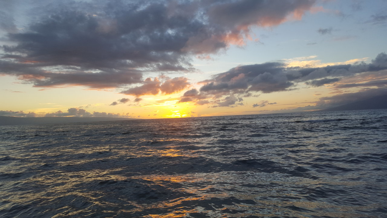 20180925_182047.jpg