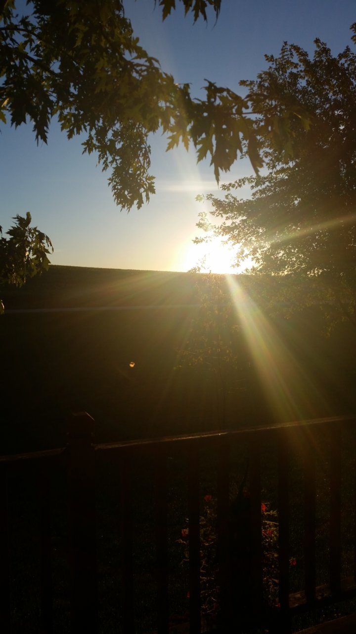 20180927_071016.jpg