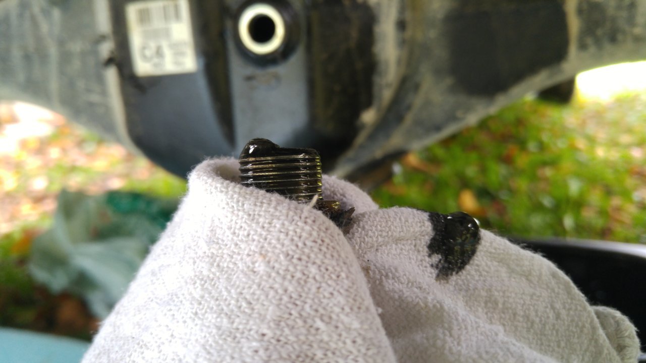 20180927_124051[1].jpg