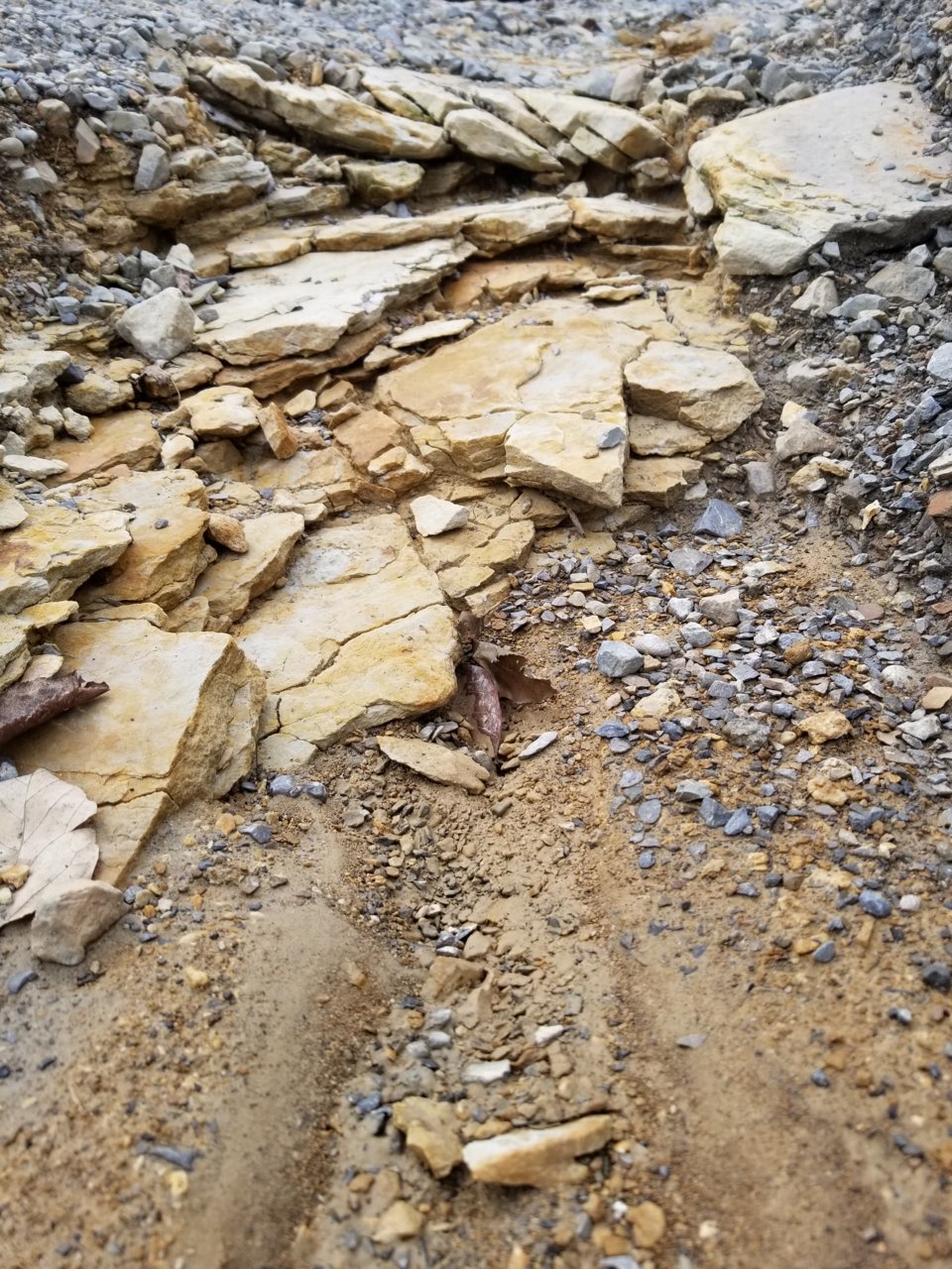20180927_125318.jpg