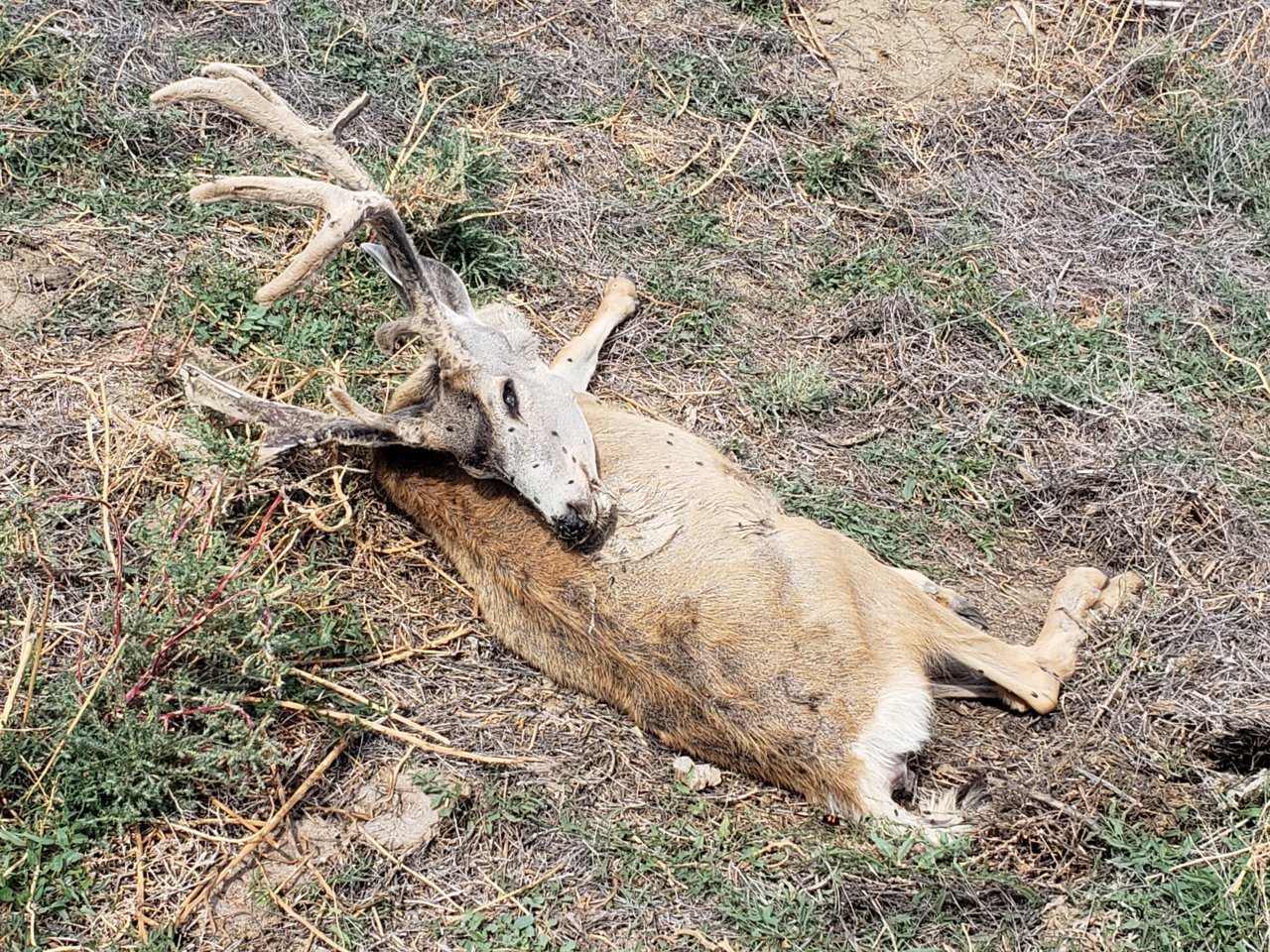 20180927_125506.jpg
