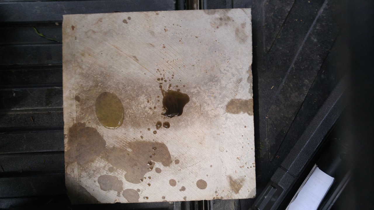 20180927_144540[1].jpg