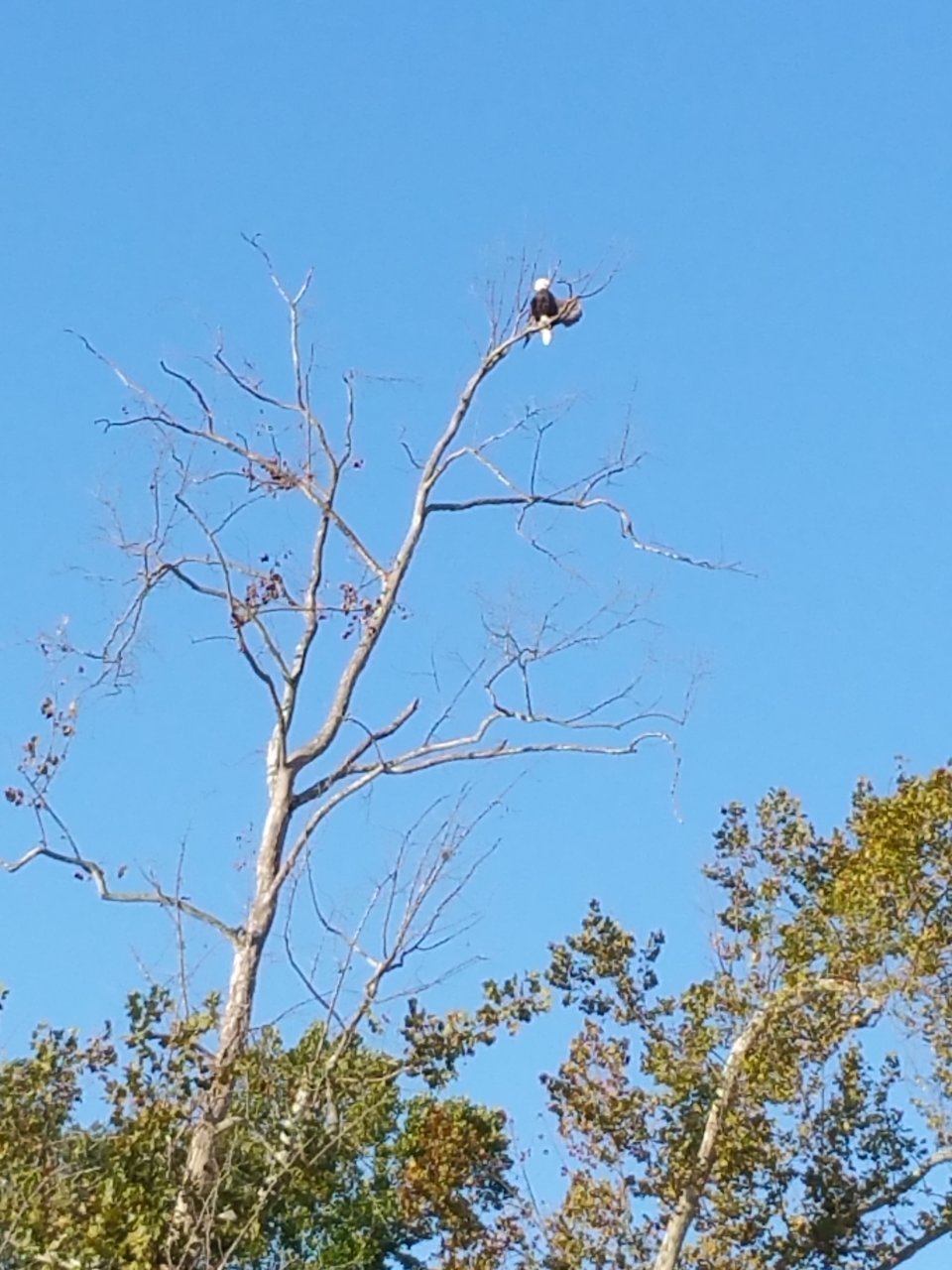 20180928_090753.jpg