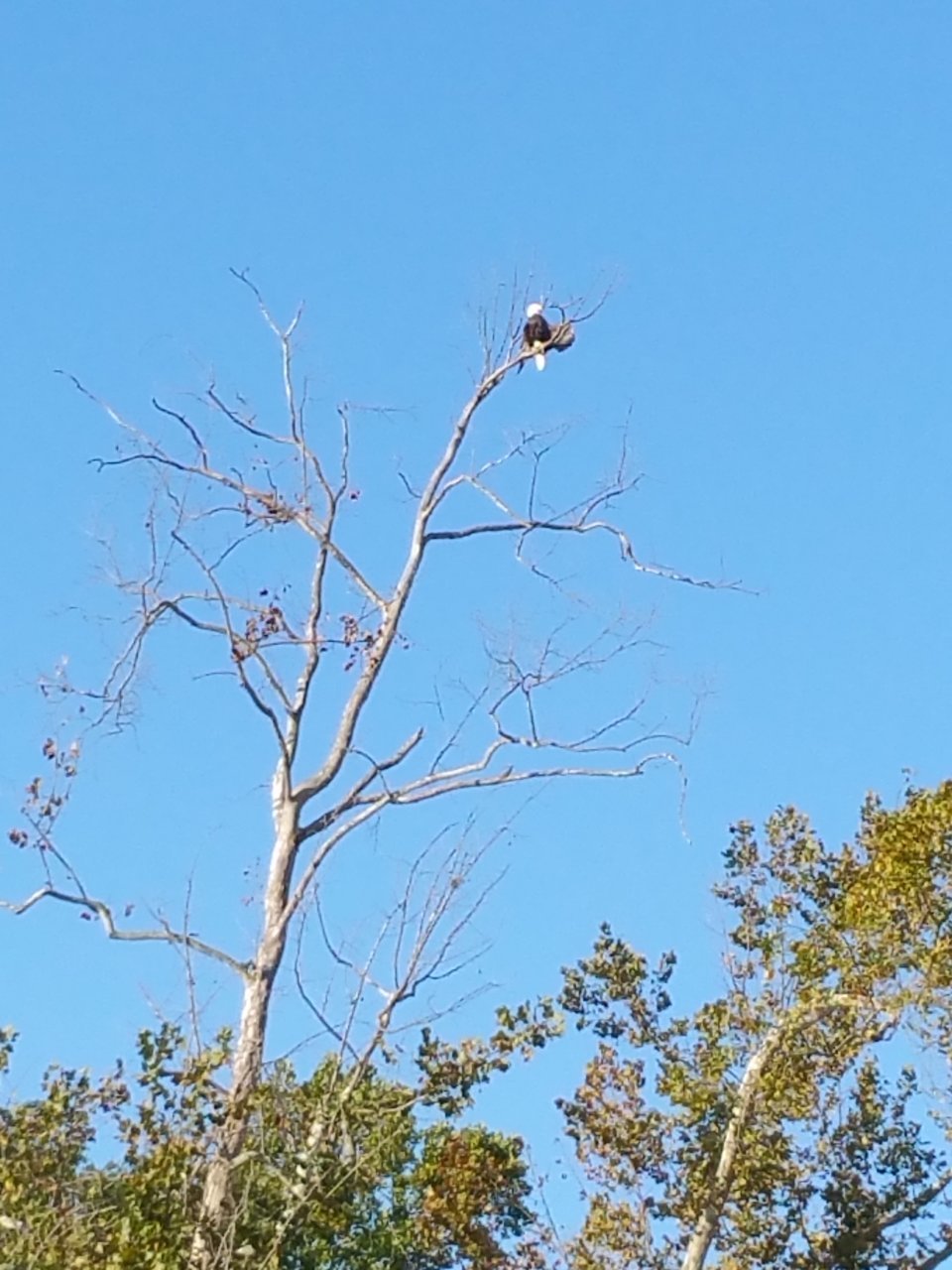 20180928_090757.jpg