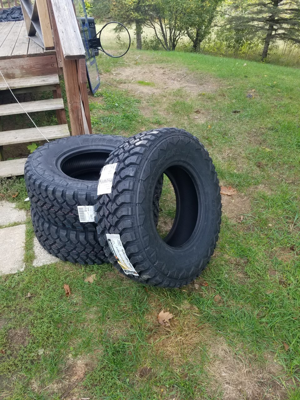 20180928_135239.jpg