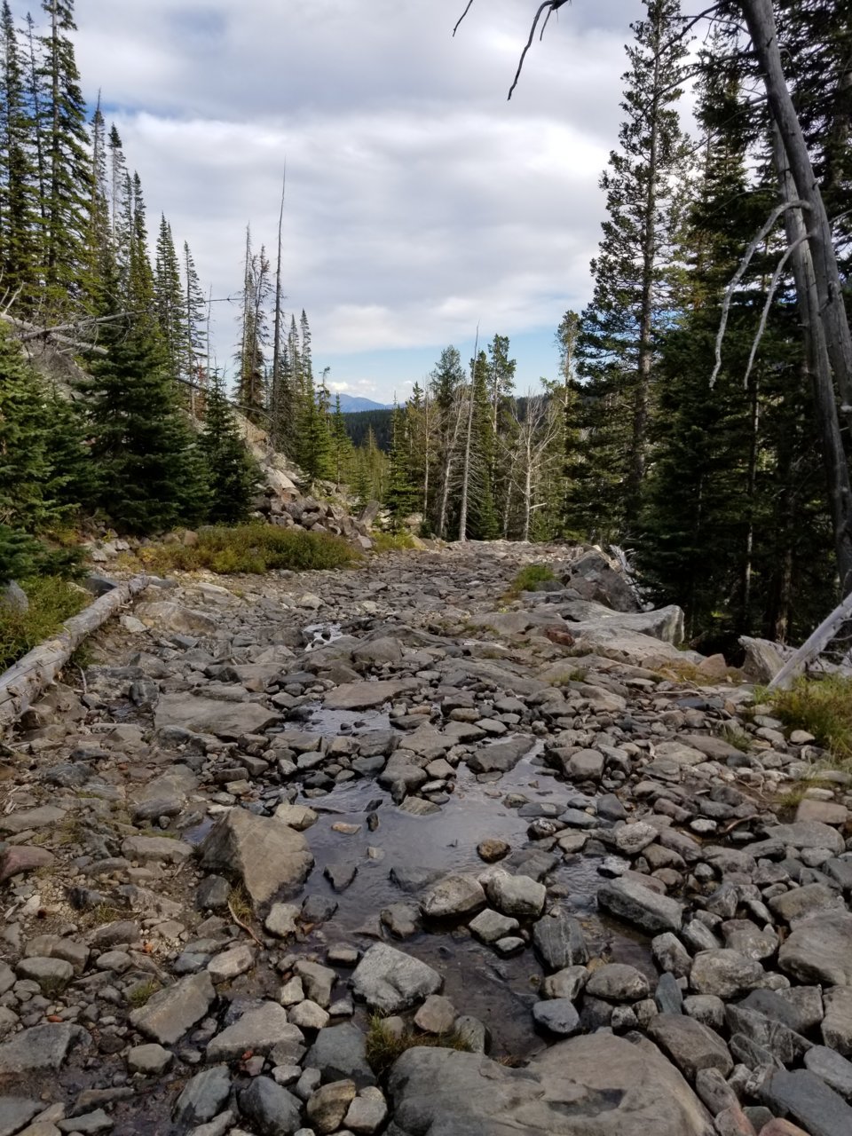 20180928_170052.jpg