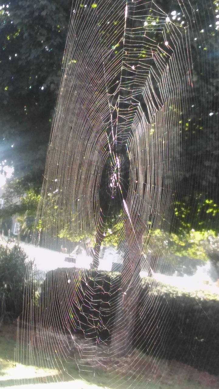 20180929_091453.jpg