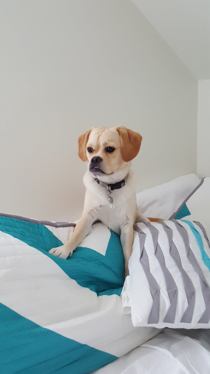 20180929_100009.jpg