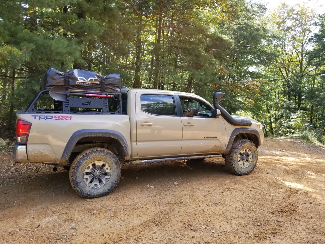 20180929_145547.jpg