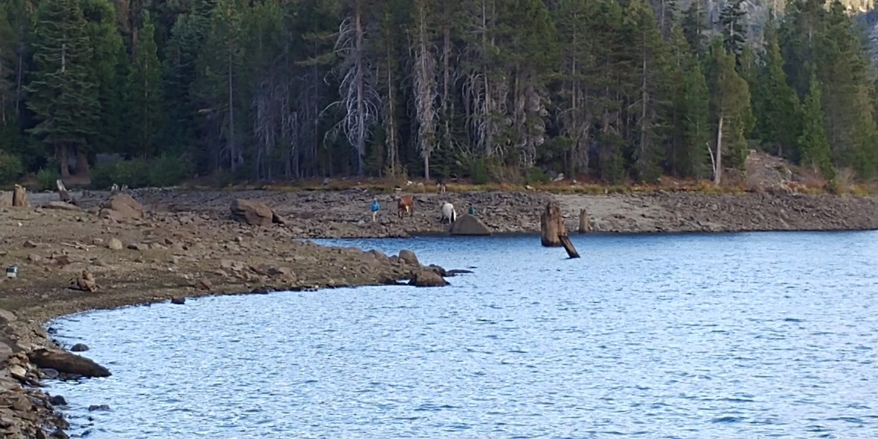 20180929_180404.jpg