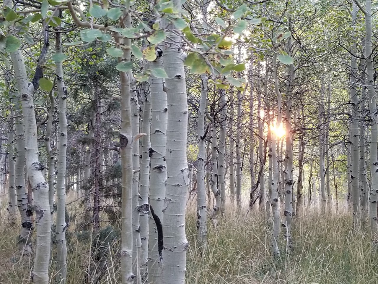 20180930_065545.jpg