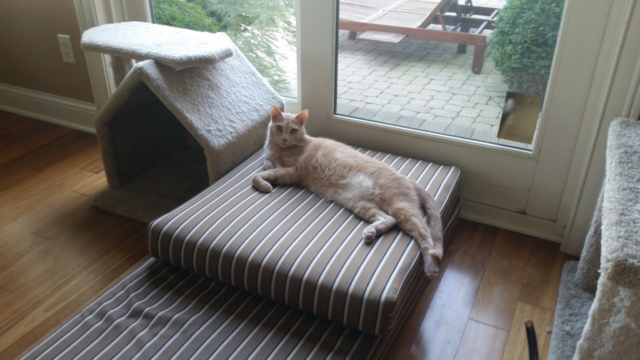 20180930_135715.jpg