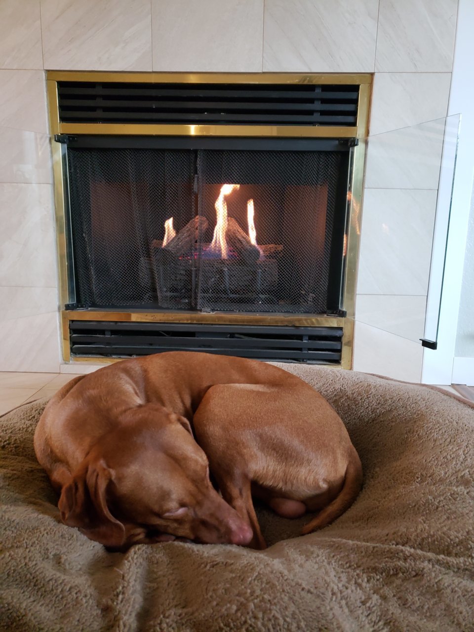 20180930_162346.jpg