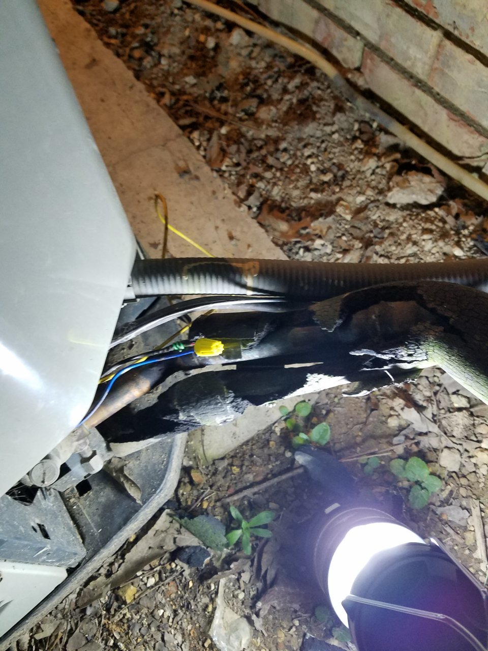 20180930_185457.jpg