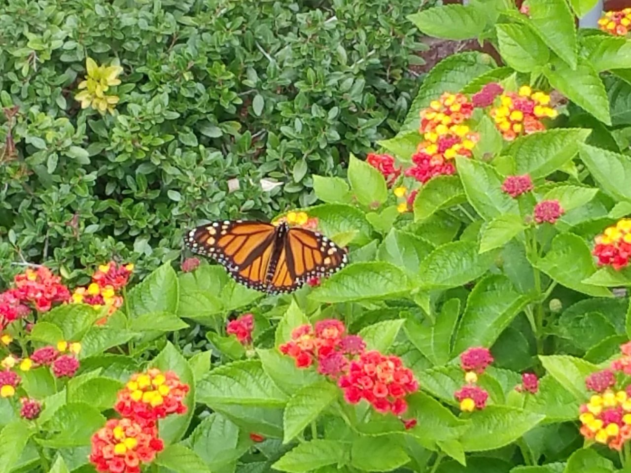 20181001_134021.jpg