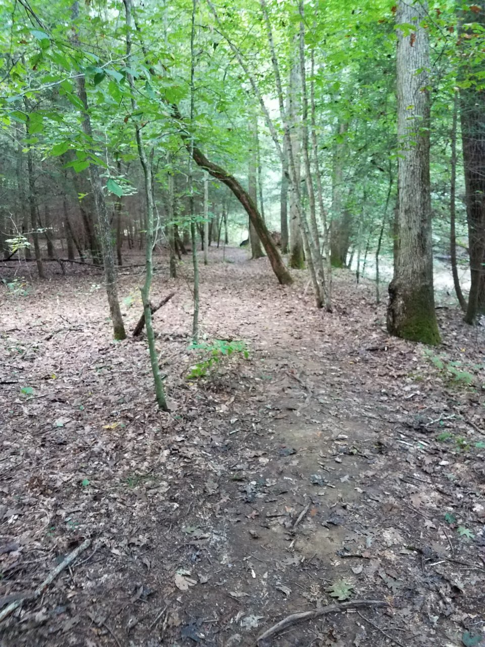 20181001_171553.jpg