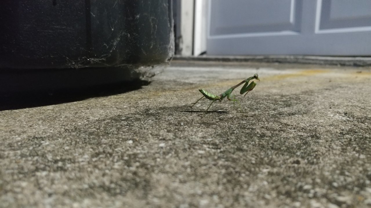 20181001_194804.jpg