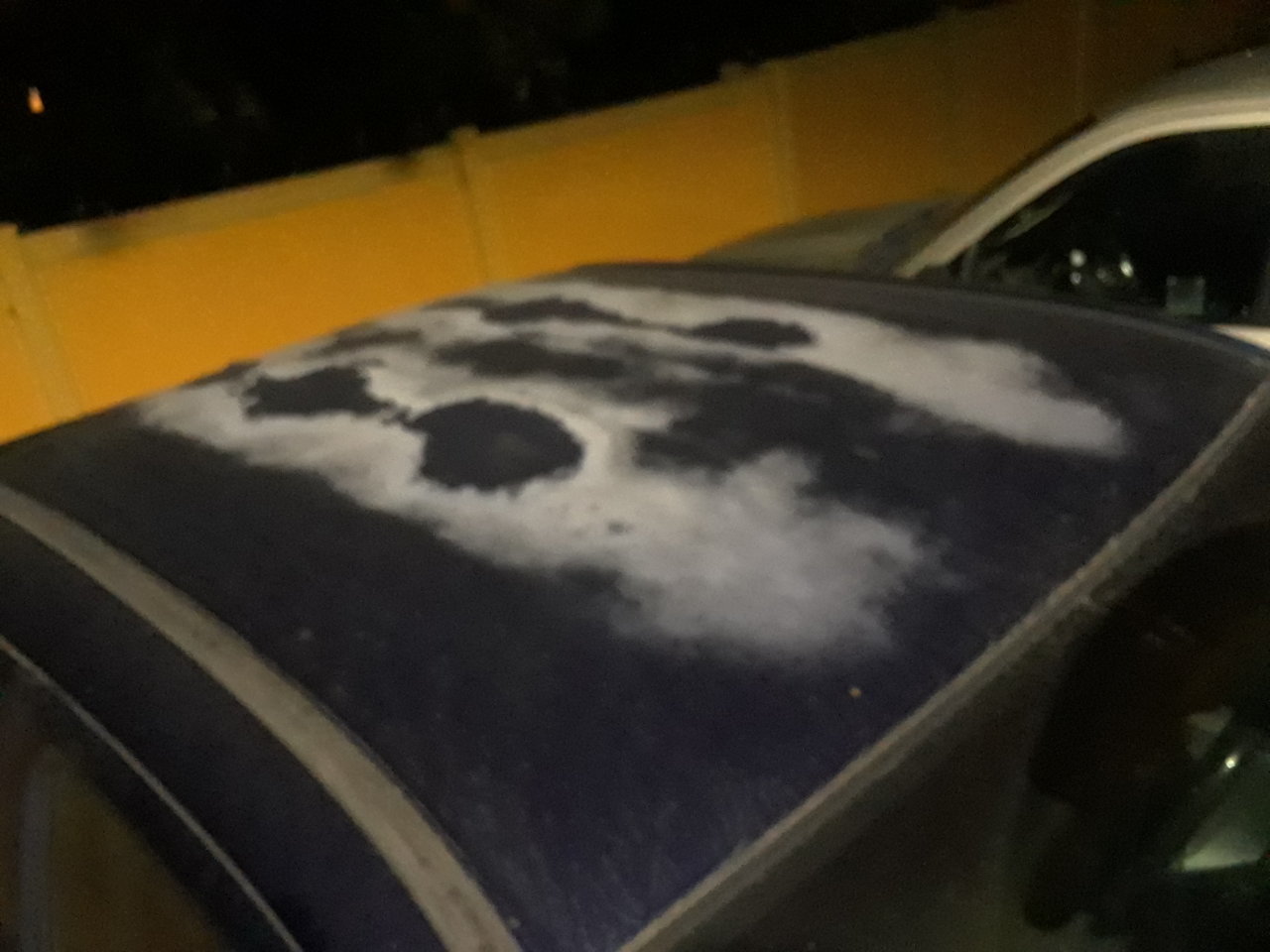 20181001_200214.jpg