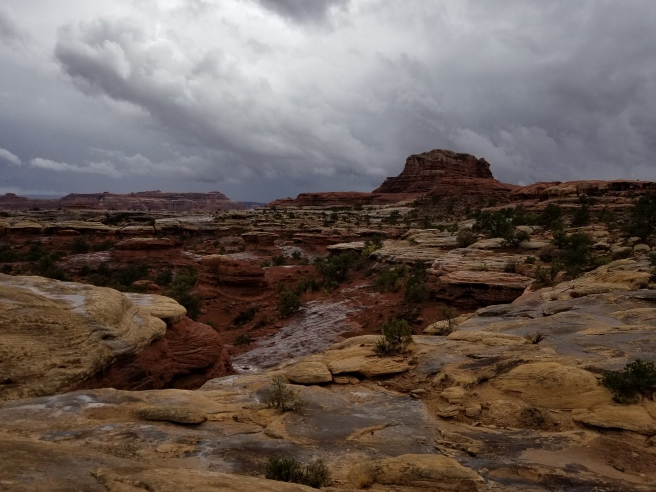 20181002_132349.jpg