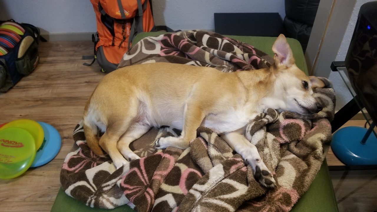 20181002_150014.jpg