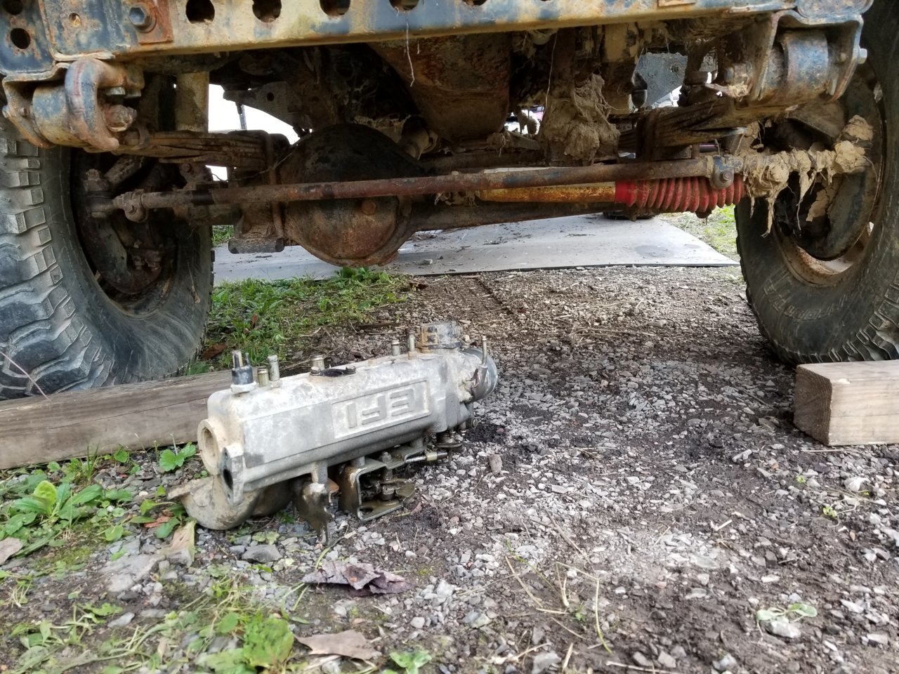 20181002_175212.jpg