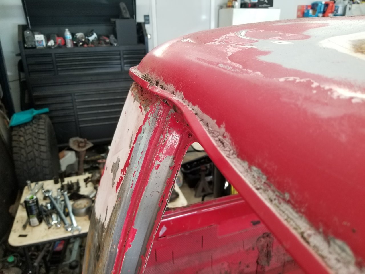 20181003_115628.jpg