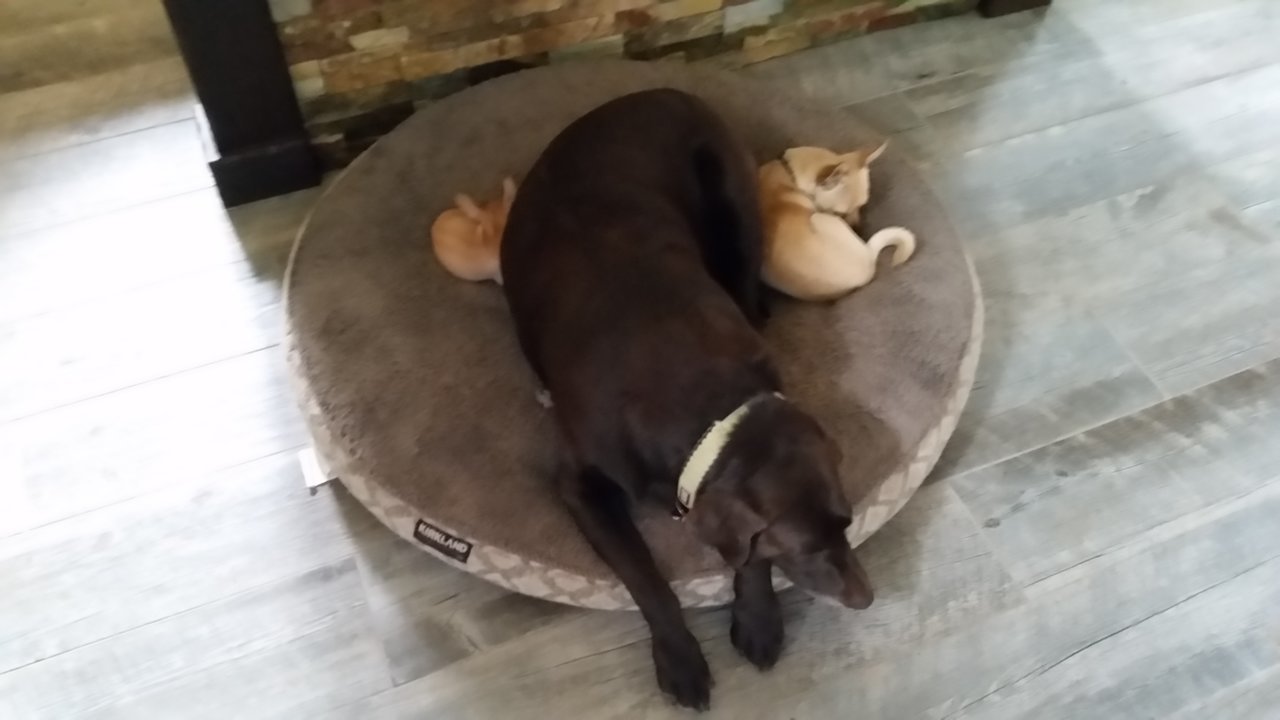 20181003_141655.jpg
