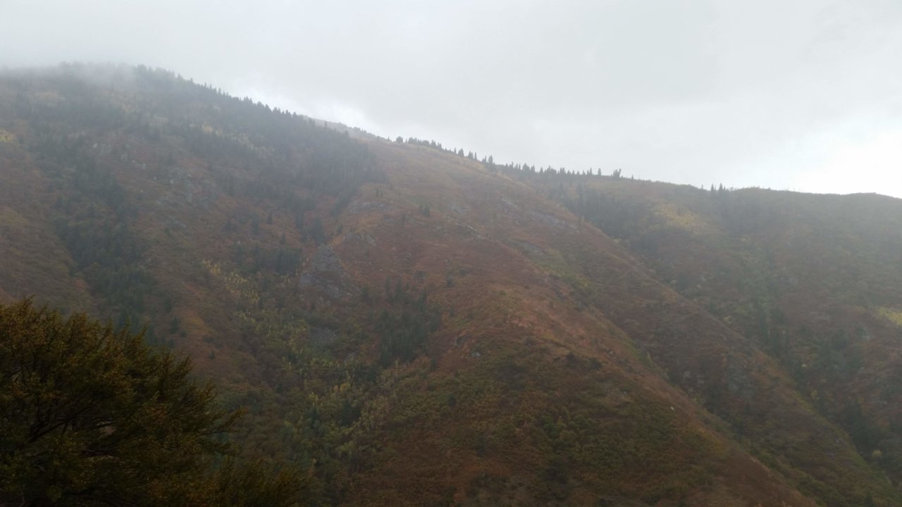 20181004_144822.jpg