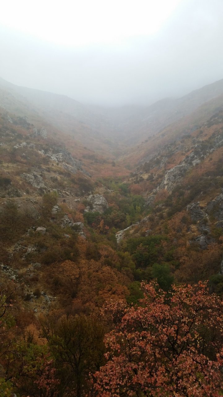 20181004_144936.jpg