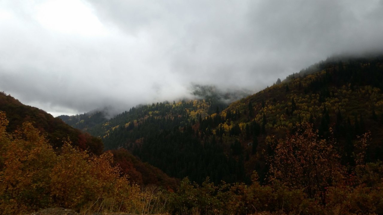 20181004_145622.jpg