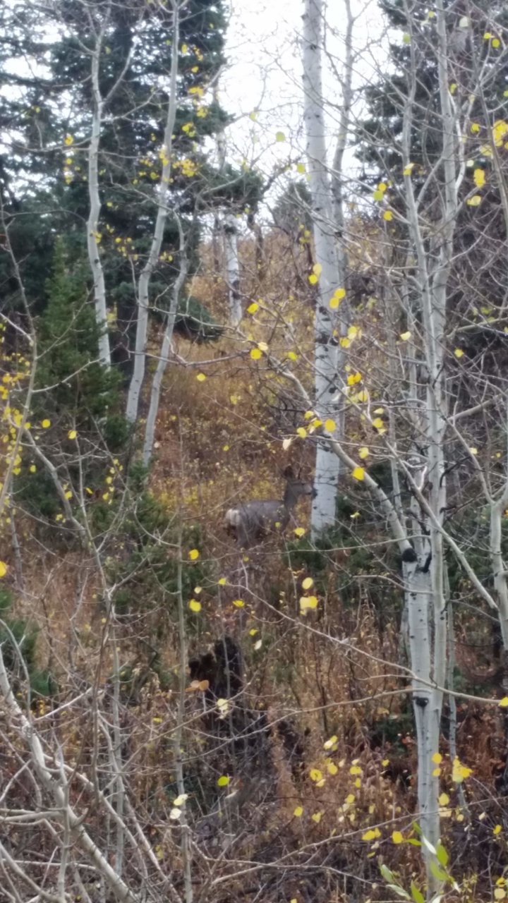 20181004_151804.jpg