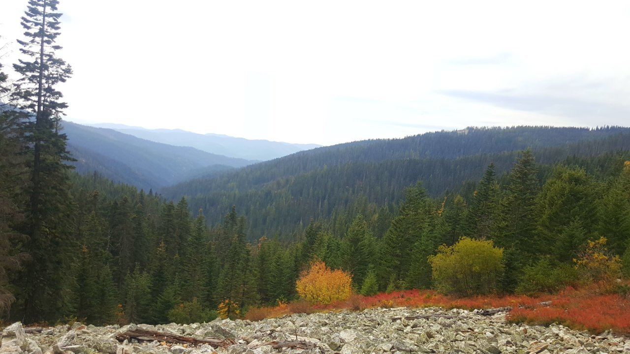 20181005_131822.jpg