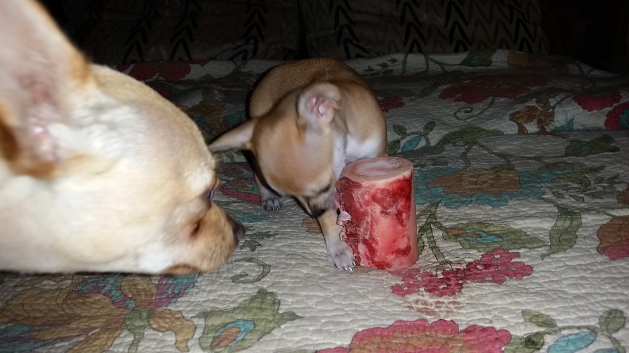 20181005_151932.jpg