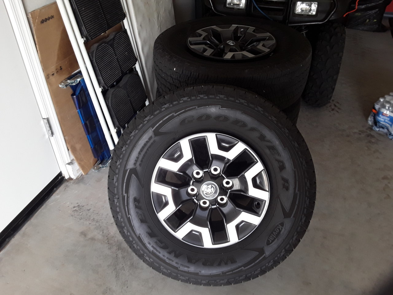 20181006_084134.jpg