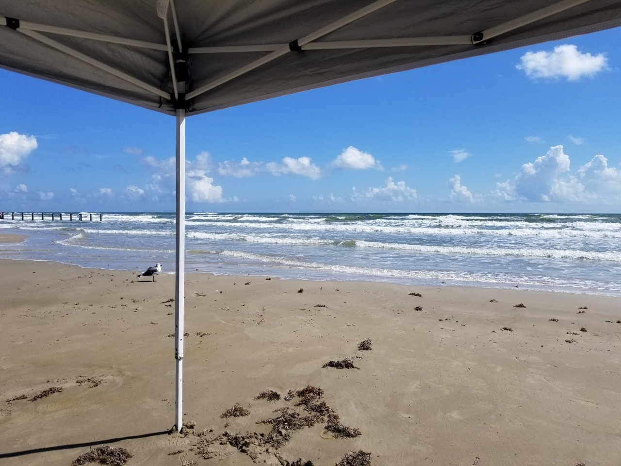 20181006_115758.jpg
