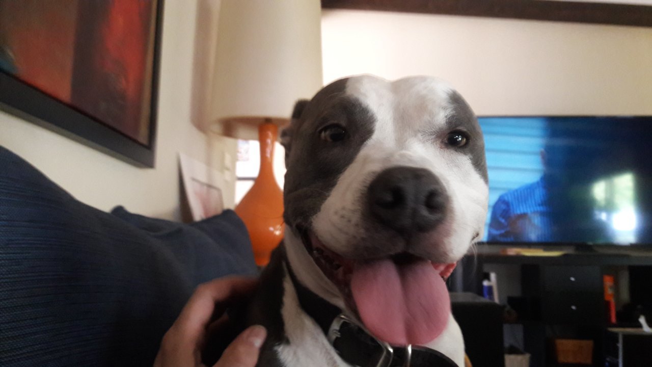20181006_124515.jpg