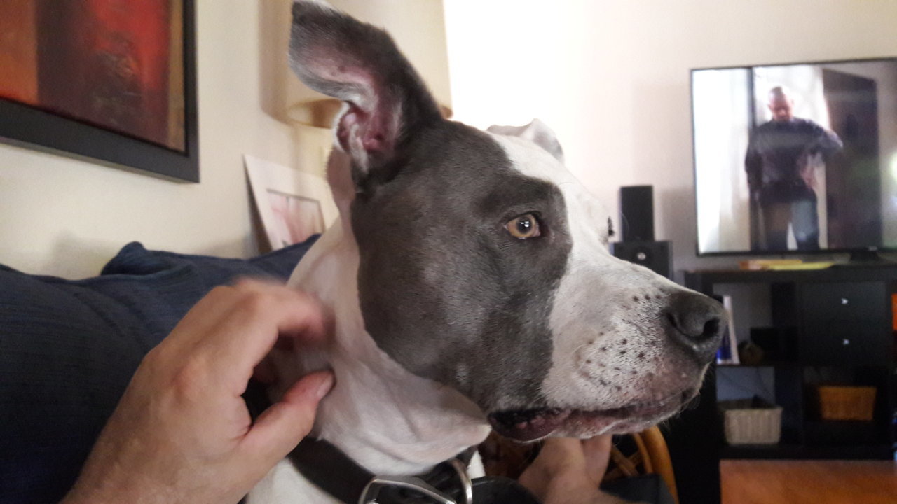 20181006_124958.jpg