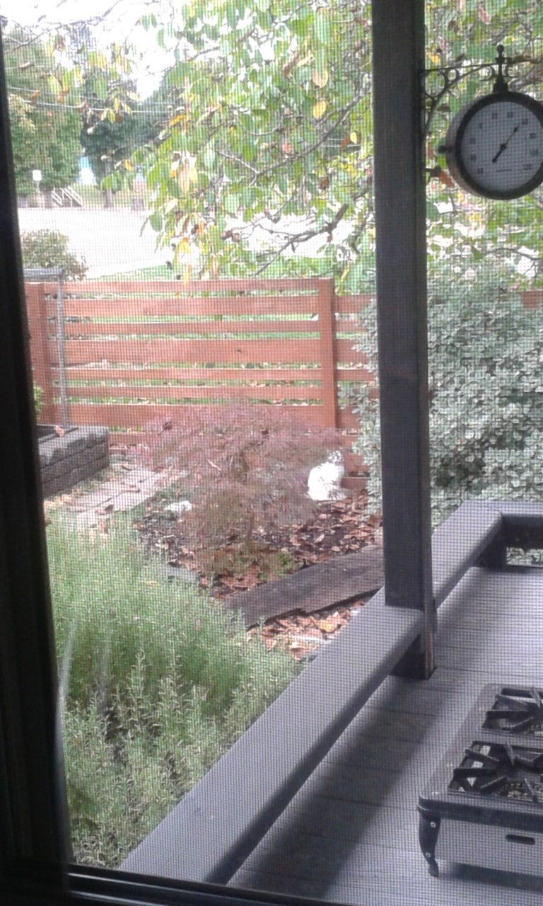 20181006_144120.jpg