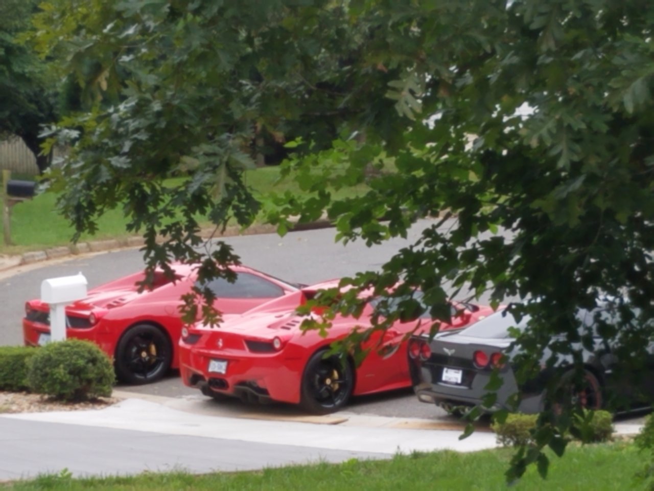 20181006_163232.jpg