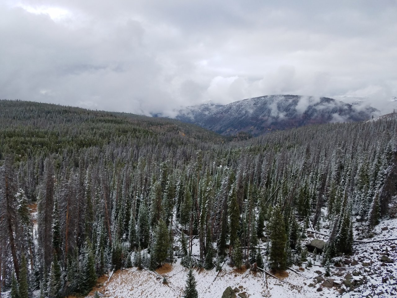 20181006_171309.jpg